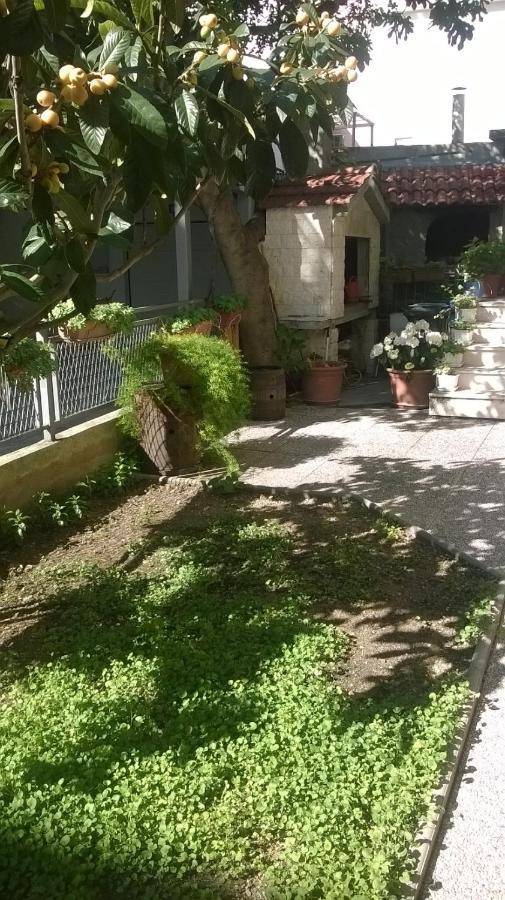 Apartman Renata 奥米什 外观 照片
